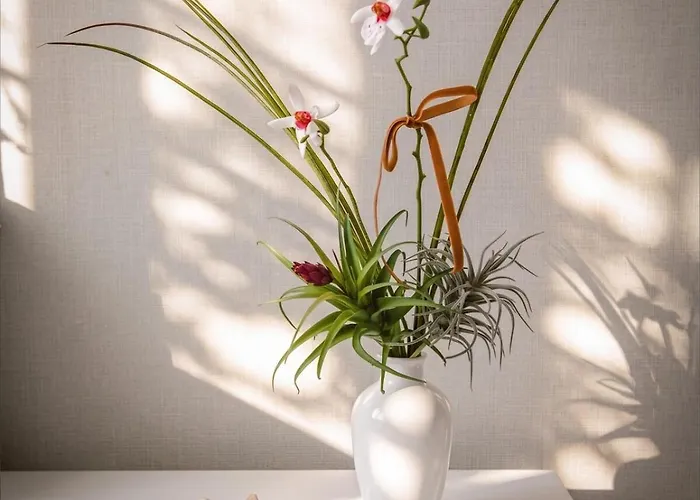 Cote Blanc For Those Who Romance Apartment